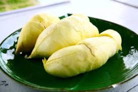 fakta buah durian